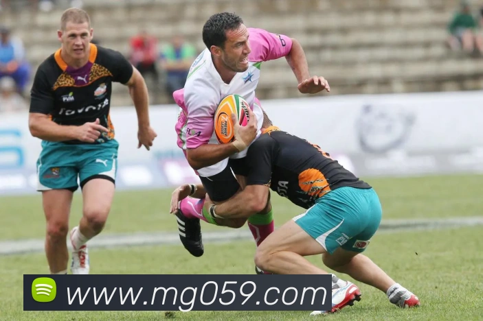 多媒体互动体验