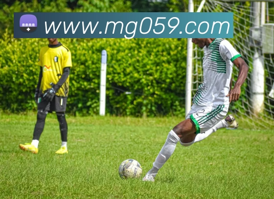 MG娱乐平台官网APP 高清赛事图